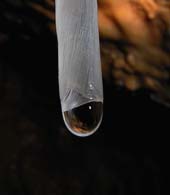 goute d'eau
